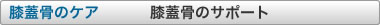 膝蓋骨のケア　膝蓋骨のサポート