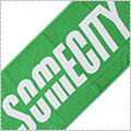 Ballaholic SOMECITY Logo Towel�@��/��