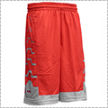 NIKE LeBron Driven Short�@�N�����]��