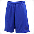 K1X Monochrome Mesh Shorts　コバルト