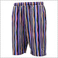 AKTR Summer Stripe Shorts　L-PURPLE