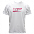 SLAM Okinawa Minsa Tee　白