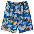 AKTR DPM Camo Shorts　青