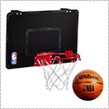 Wilson NBA Forge Team Mini Hoop
