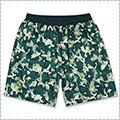 Arch Watercolor Shorts