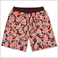 Arch Watercolor Shorts