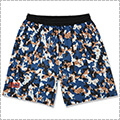 Arch Watercolor Shorts　青